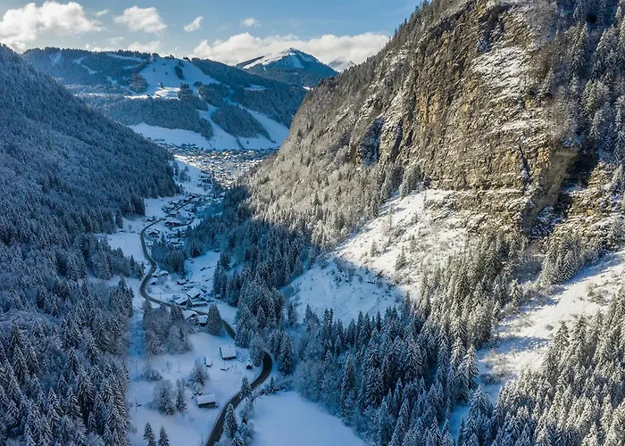 Lägenhet 46 - Les Coches